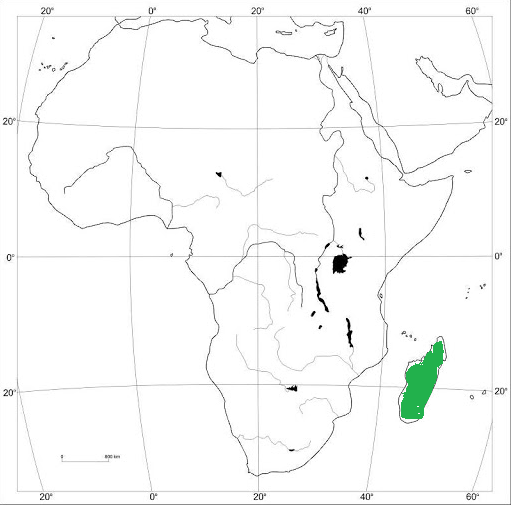 s-8 sb-1-Mapa Afrykiimg_no 67.jpg